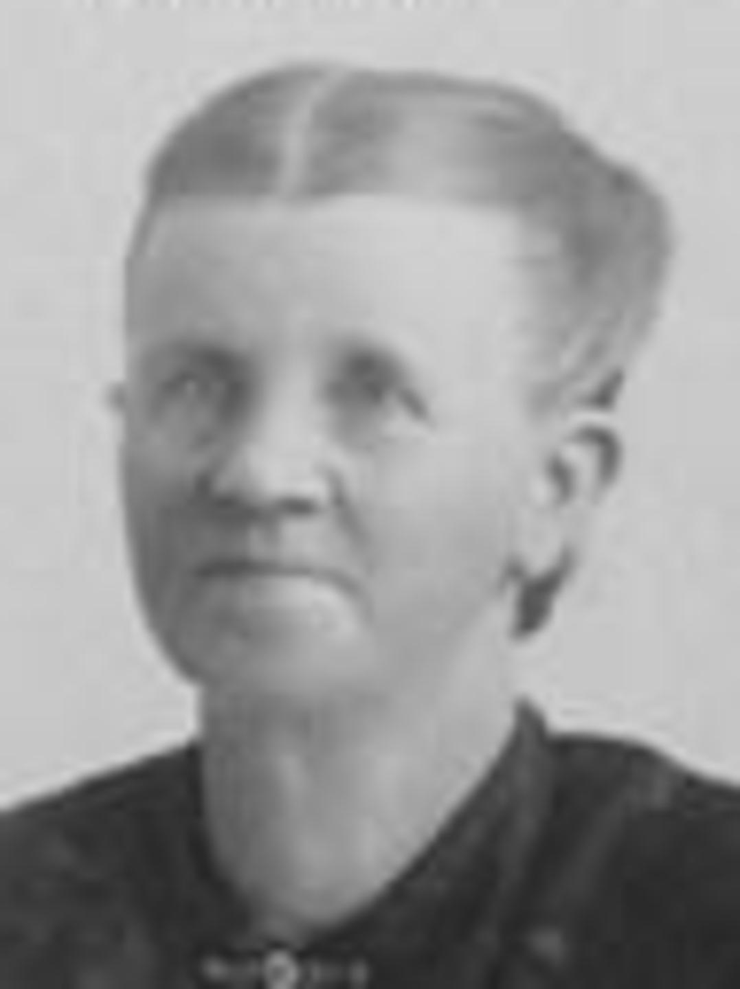 Phoebe Hannah McMillan (1846 - 1909) Profile